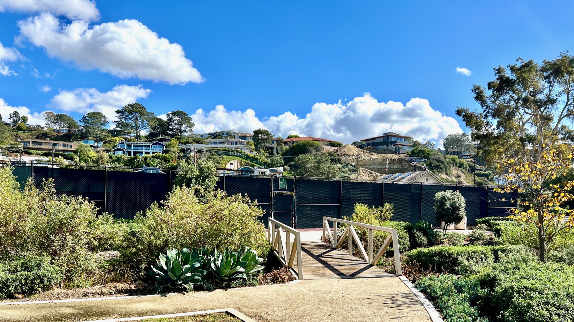 Courtyard and garden